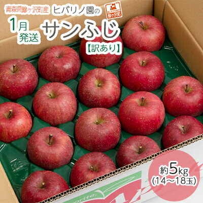 【ふるさと納税】【1月発送】【訳あり】ヒバリノ園のサンふじ 約5kg（14～18玉）青森県鰺ヶ沢町産りんご※オンライン決済のみ 果物 フルーツ デザート シャキシャキ 　お届け：2026年1月5日～2026年1月15日