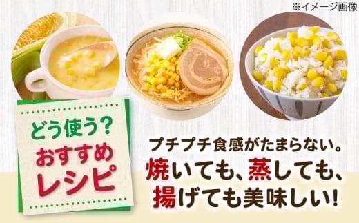とうもろこし トウモロコシ スイートコーン コーン 産地直送 旬 野菜 高糖度