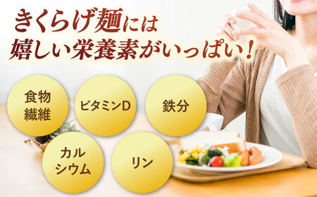 きくらげ麺　1袋（4束）　桂川町/オドラ株式会社[ADBA015]