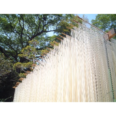 和泉手延べ麺　半生もどし長そうめん・乾ひやむぎ(計19人前)　たつみ麺店(STSSD)