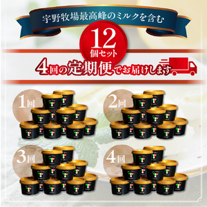 【季節定期便】パティシエおすすめジェラート12個セット×4回