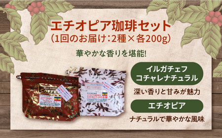 【全6回定期便】華やかな香りを楽しむ！ エチオピア コーヒーセット 200g×2種（豆or粉）珈琲 コーヒー 珈琲豆 カフェ 喫茶店 江田島市/Coffee Roast Sereno[XBE055]