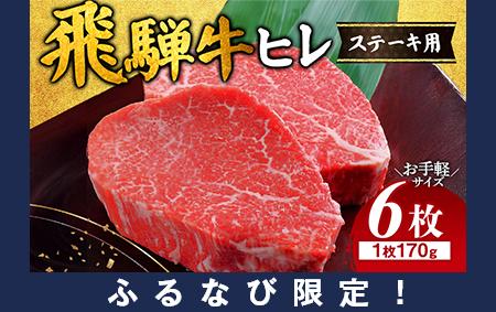 【ふるなび限定】飛騨牛 ヒレ 170g ×6枚｜牛肉 和牛 ※離島への配送不可 FN-Limited-SP