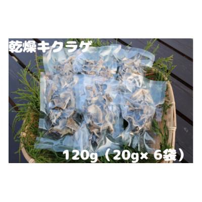 ふるさと納税 高山村 乾燥キクラゲ　120g
