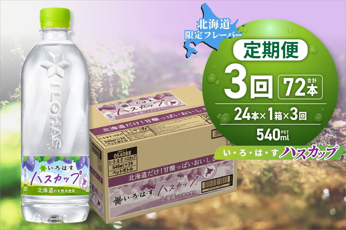 
                  【３ヶ月定期便】い・ろ・は・す ハスカップ　540mlPET×24本｜コカ・コーラ 飲料 ドリンク 飲み物 水 北海道 札幌市
                