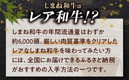 【ブランド牛・しまね和牛】小間切れ 250g×2パック カレー・シチュー用 島根県松江市/Do corporation株式会社（しまね和牛）[ALFU014]