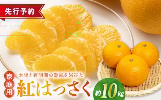 54-16　【先行予約】福島オレンジ農園 紅ハッサク　約10kg(Lサイズ)