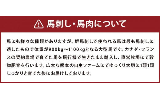  霜降り 馬刺し 約320g (約90g×3～5個) タレ付き