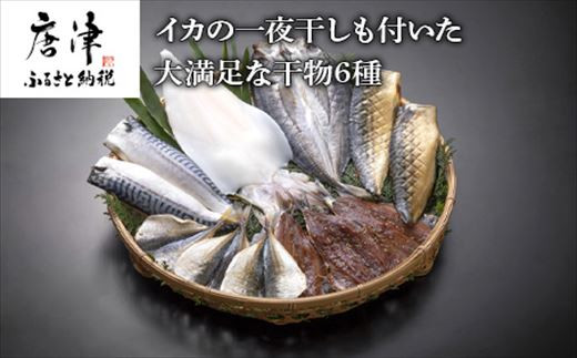 
(唐津産) イカの一夜干しも付いた干物6種 やりいか一夜干し アジ開き いわしみりん アジミリン さばみりん干し 塩サバ (合計12枚) おかず おつまみ ギフト 「2023年 令和5年」
