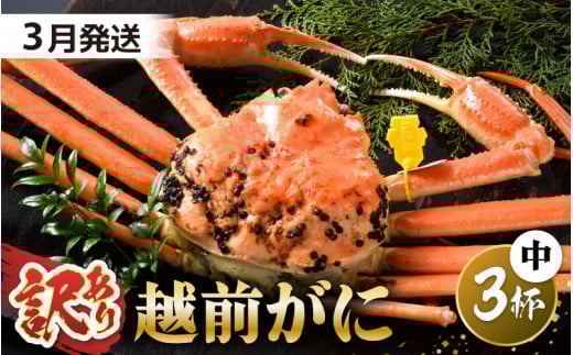 【先行予約】【訳あり】 茹で「越前ズワイ蟹」 中 3杯 脚折れ 【2026年3月発送分】【わけあり ワケアリ カニ かに 蟹 越前ガニ 越前蟹 ずわいがに ズワイガニ ズワイ ボイルガニ 姿 ボイル 冬の味覚 冷蔵 国産 県産】 [O-1402_03]