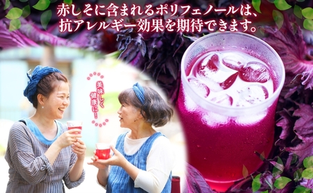 北海道 とうやの 赤しそ ジュース 希釈用 500ml×2本入り シソ しそ 大葉赤紫蘇 3～4倍 濃縮 契約農家 手詰み 産地直送 ピュアフーズとうや 送料無料 果実飲料 洞爺湖 