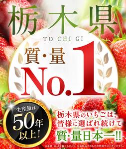 【年内発送】初摘みとちあいか 500g以上| いちご とちあいか 大粒 新鮮 甘い 数量 限定 美味しい 果物 共通返礼品 フルーツ デザート 栃木県 送料無料