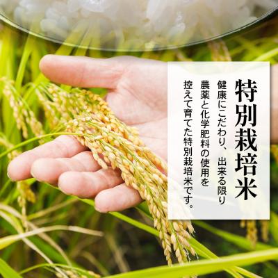 ふるさと納税 米沢市 【先行予約】【令和8年産】 特別栽培米 雪若丸 計10kg (5kg×2袋) 2026年産 産地直送 |  | 01