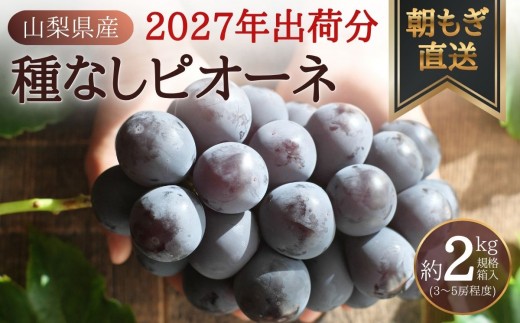 紫黒色で甘みの中に酸味もありぶどうの風味を存分に味わえる一品です！