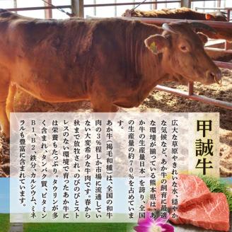 FKP9-516 あか牛極上ヒレ＆サーロインステーキセット
