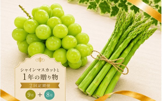 定期便 2回 シャインマスカット さぬきのめざめ アスパラ アスパラガス グリーンアスパラ ぶどう 果物 野菜 フルーツ 旬 旬のフルーツ 贈答用 ギフト プレゼント 香川県 丸亀市