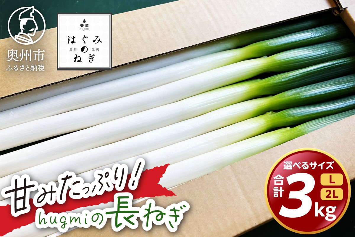 
                  hugmiの長ねぎ 3kg Lサイズ/2Lサイズ 奥州市産 甘みたっぷり 冬ねぎ 冬野菜 生鮮食品 新鮮 野菜 食品 冷蔵配送 期間限定 離島配送不可 岩手県 奥州市 [BJ010][BJ012]
                