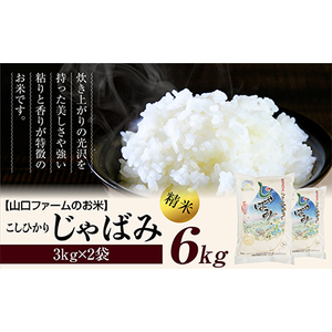 [先行予約] R7年産 関川村産コシヒカリ6kg(3kg×2) 丁寧に育てた贅沢米 [山口ファーム]【1344366】