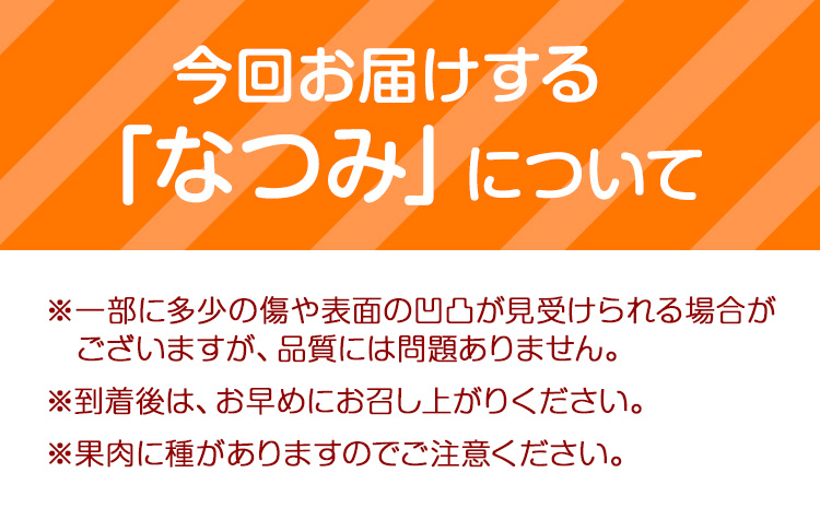 ＜先行予約＞初夏のみかん なつみ 約 3kg 株式会社 魚鶴商店《2026年4中旬-4月下旬頃出荷》 和歌山県 日高川町 みかん なつみ 南津海 柑橘 果物 フルーツ 送料無料