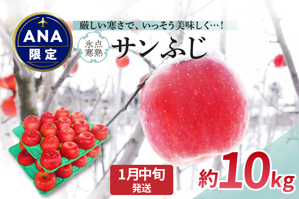 【ANA限定】【2025年1月中旬発送】りんご約10kgサンふじ〈氷点寒熟〉青森県産