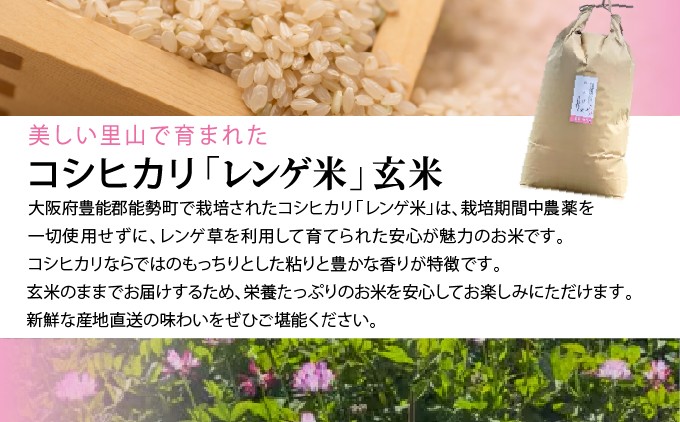 【栽培期間中農薬・化学肥料不使用】  「レンゲ米」玄米 10kg | 合同会社農園のら