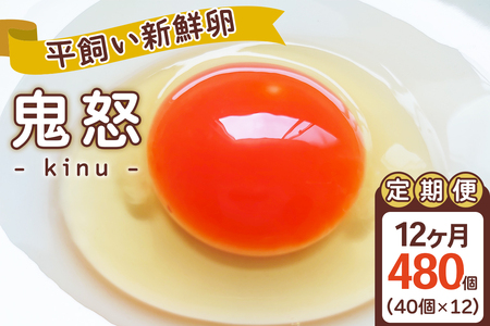 [定期便／12ヵ月] 平飼い新鮮卵「鬼怒」40個×12回 計480個 白身も美味い！｜12ヵ月連続 定期便 日光市産 平飼い卵 こだわり卵 たまご 玉子 生卵 鶏卵 [0726]