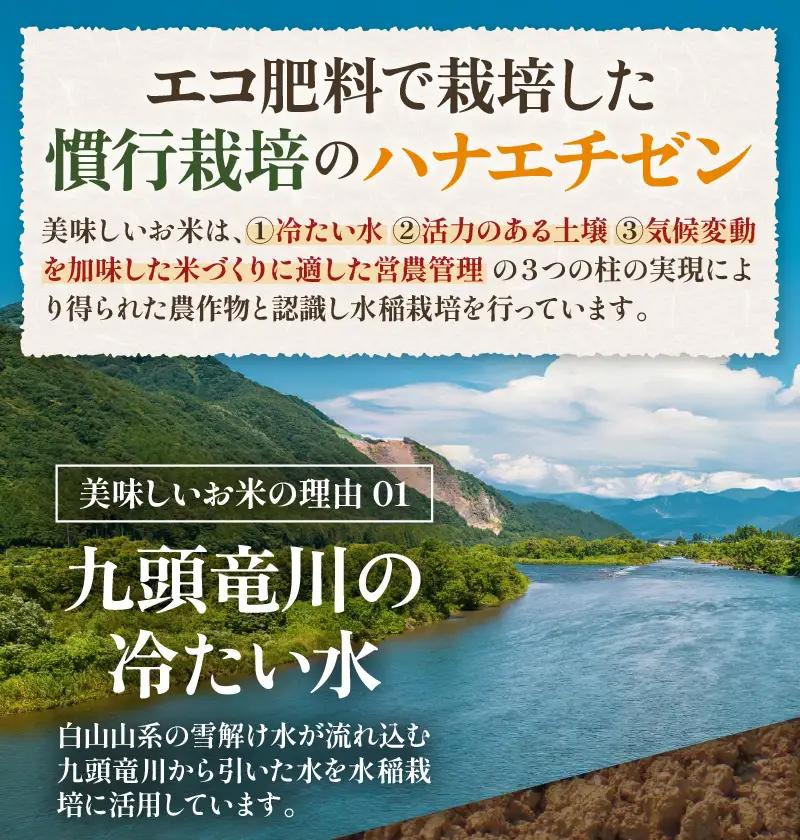 【先行予約】【令和8年産 新米】 エコ栽培ハナエチゼン 精米10kg （5kg×2袋） ／ 鮮度抜群 福井県産 はなえちぜん ご飯 新鮮 白米 ※2026年9月上旬以降順次発送予定 [aw063-b0