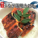 【ふるさと納税】「特大」鹿児島県産うなぎ蒲焼き250g(タレ付き)