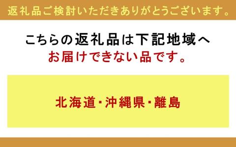 【先行予約】老舗和菓子店　福井県大野市冬の名物 でっち羊かん 厚サイズ（約540g）2本×1箱【11月～順次発送】