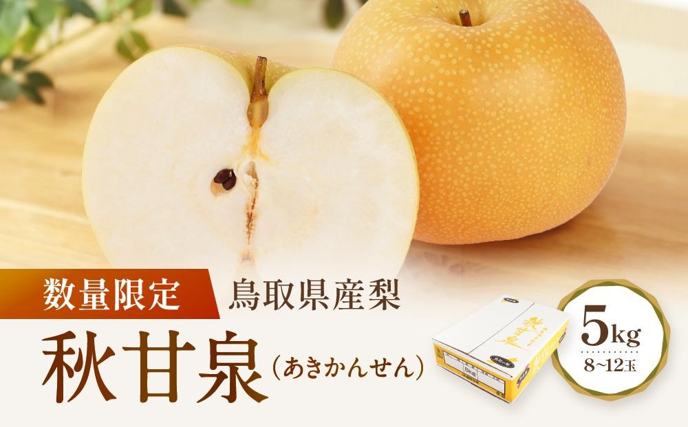 
                  数量限定 鳥取県産梨 秋甘泉（あきかんせん） 5kg（8～12玉）国産 秋甘泉 梨 国産梨 国産秋甘泉 鳥取県産梨 鳥取県産秋甘泉 梨5kg 秋甘泉5kg 新鮮 旬 フルーツ 果物 くだもの 人気 おすすめ 鳥取 琴浦町 送料無料
                