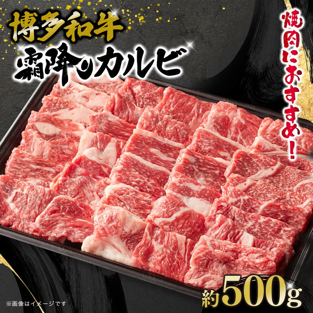 【ふるさと納税】博多和牛　霜降りカルビ　約500g | 肉 お肉 にく 食品