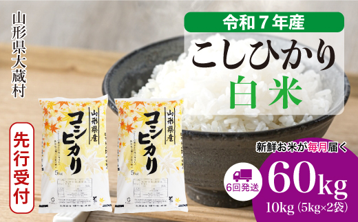 ＜令和7年産米先行受付＞ 令和8年4月上旬より発送 大蔵村産 こしひかり【白米】60kg定期便(10kg×6回)　