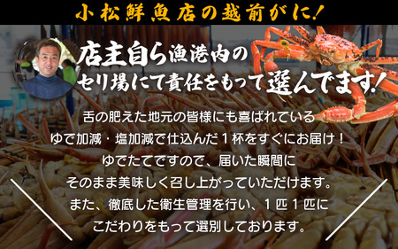 越前がに本場の越前町からお届け！ ≪浜茹で≫越前がに 特大サイズ × 1杯（1.1～1.3kg）【1月発送分】【かに カニ 蟹】地元で喜ばれるゆで加減・塩加減で越前の港から直送！【福井県 越前町 雄 