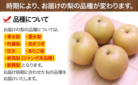 ＜2026年先行予約＞ 梨 くまもと梨 秋 旬 なし 幸水 豊水 先行 果物 くだもの フルーツ 送料無料 あきづき 甘太 新高 新興 約4.5～5kg(8玉～22玉前後) 熊本県産【着日指定不可】《