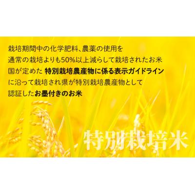ふるさと納税 大野市 地球にやさしいパックご飯 10食入り【白米】 「特別栽培米」-地球にやさしいお米- |  | 03
