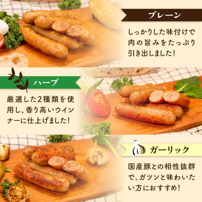 【 全6回 定期便 】  生 ウインナー 30本 ( 5本 × 6種 ) 糸島市 / 志摩スモークハウス [AOA024] ウィンナー セット
