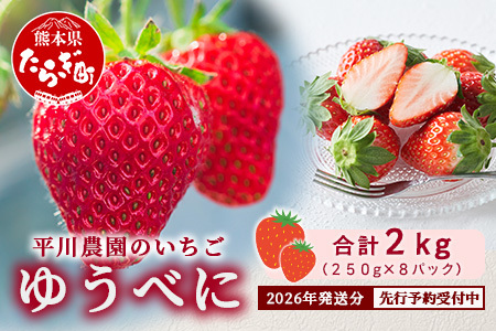 熊本県産 いちご ゆうべに  2kg (250g×8パック)【2026年出荷分】 イチゴ 果物 フルーツ 熊本県 多良木町 農園直送 107-0502