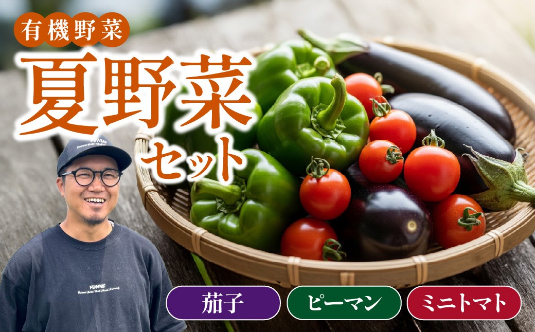 
            ＼期間限定 / 限定10セット／ 夏野菜詰め合わせ 3種 茄子・ミニトマト・ピーマン | 新鮮夏野菜 野菜 夏野菜 有機野菜 旬の野菜 セット 詰め合わせ なす トマト 地元農家 有機 自然 土づくり こだわり おすすめ オススメ 農業 若手農家 十色農園 埼玉県 東松山市
          