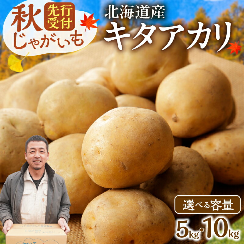 【ふるさと納税】先行予約【 選べる内容量！ 】 ホクホク！しっとりなめらか！ 北海道産 キタアカリ 約 5kg 約 10kg じゃがいも いも 芋 産地直送 ポテトグラタン じゃがバター フライドポテトポテトチーズ焼き マッシュポテト ガレット 芋もち 北海道 清水町 送料無料