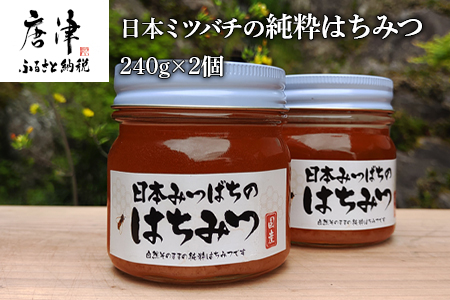 日本ミツバチの純粋はちみつ 240g×2個 (合計480g) 瓶 自然 蜜「2024年 令和6年」