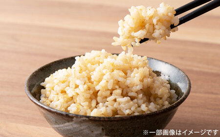 【伊勢神宮奉納】さがびより 玄米 4kg (2kg×2袋) / 佐賀県 / 株式会社SUMRICE[41AAAV002]