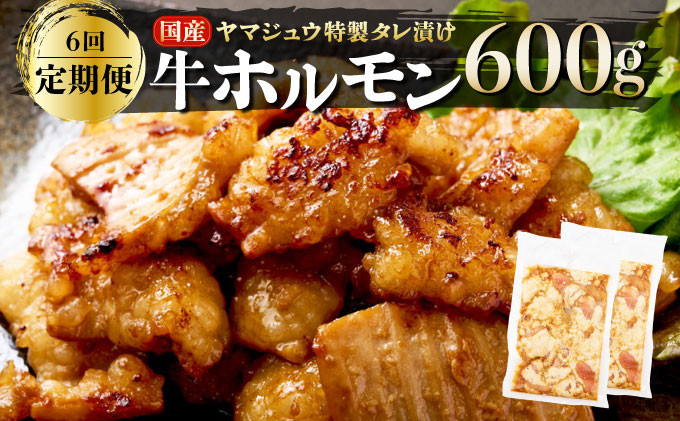 
            ヤマジュウの特製タレ漬け！国産牛ホルモン６００ｇ【６回定期便】 頒布会
          
