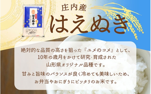 【令和8年産】庄内産 はえぬき 無洗米 25kg 5kg×5袋 余目産 余目町農協 あまるめ ブランド米 米 国産 単一原料米 山形 庄内平野