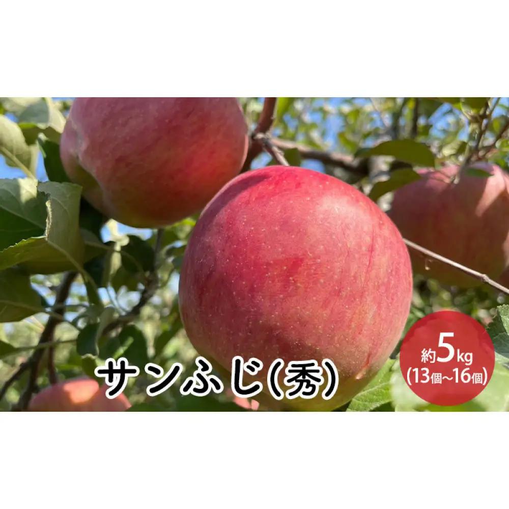 前島農家 信州りんご・サンふじ（秀）約5kg（12個～18個） | りんご