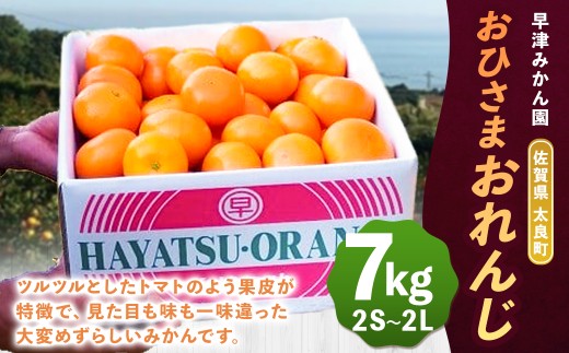 O84x1 おひさまおれんじ7kg おひさまおれんじ 7kg 希少 温州みかん 早生 温州 みかん ミカン 蜜柑 温州蜜柑 温州ミカン フルーツ くだもの 果物 ミネラル豊富 太良町 国産  【2026年12月上旬～2027年1月上旬】