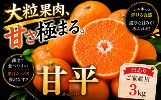 ＜濃密な甘み 愛媛県産甘平 合計約3kg＞『2027年1月中旬～3月上旬迄に順次出荷予定』 訳あり かんぺい 濃厚 あまい 甘い ミカン 蜜柑 ご家庭用 果汁 果物 くだもの フルーツ オレンジ 柑橘 特産品 極尽道 愛媛県 西予市 【常温】