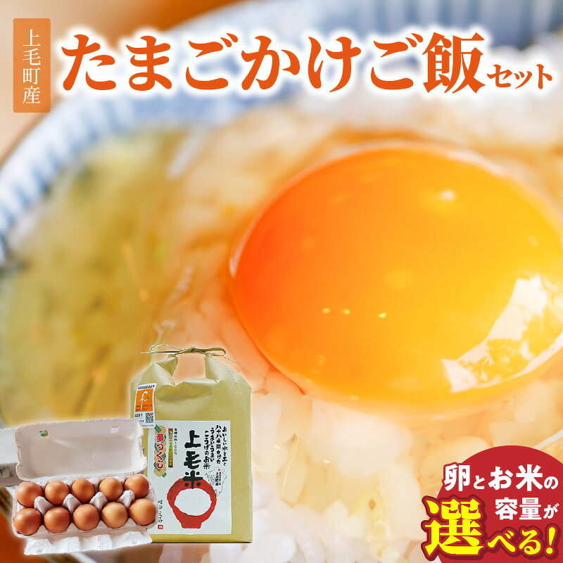 【ふるさと納税】放し飼い 卵 かぐやひめ 米 セット 選べる セット内容 国産 福岡上毛町産 鶏卵 放し飼いたまご 生卵 上毛米 たまごかけご飯 炊きたてのご飯 卵黄 卵白 お取り寄せ お取り寄せグルメ 食品 食べ物 ご飯のお供 冷蔵 福岡県 上毛町 送料無料
