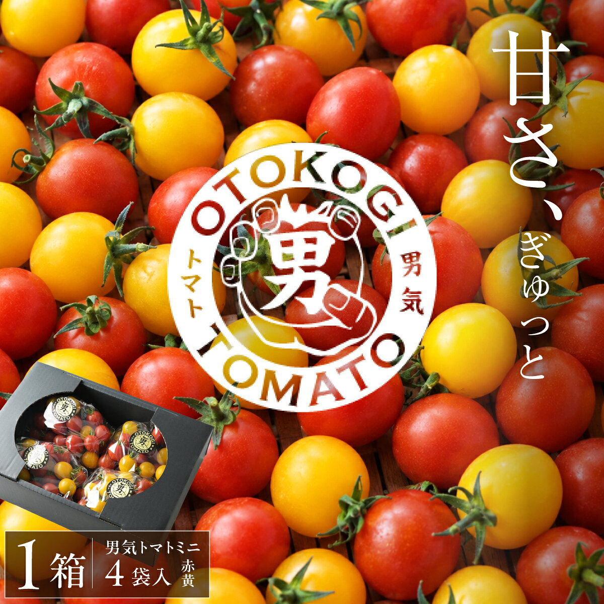 【ふるさと納税】【限定20】男気トマトミニ 1箱 1kg | ミニトマト トマト プチトマト 先行予約 250kg×4袋 野菜 有機肥料 濃厚 完熟 低農薬栽培 無かん水栽培 メディア掲載 話題 産地直送 青空レストラン 受賞 大賞 人気 化粧箱 ギフト 贈り物 手土産 手島農園 埼玉県 桶川市