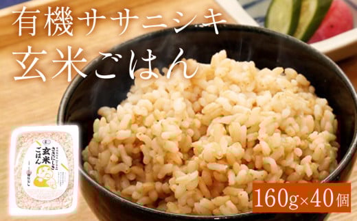 ご飯 パック 玄米 有機 ササニシキ ごはん 160g × 40個 宮城県産 ごはん レトルト パックご飯 ごはんパック 有機玄米 レンジ 調理 電子レンジ 長期保存 保存食 非常食 災害 米 お米 玄米食 農薬不使用 宮城県 石巻 石巻市