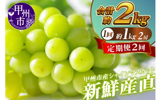 【定期便】新鮮産直！甲州市・シャインマスカット2回定期便【2026年発送】（KSF）B16-125